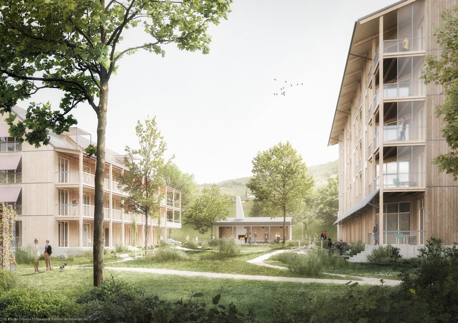 Wohnsiedlung Gubristareal in Weiningen, Studienauftrag 2024