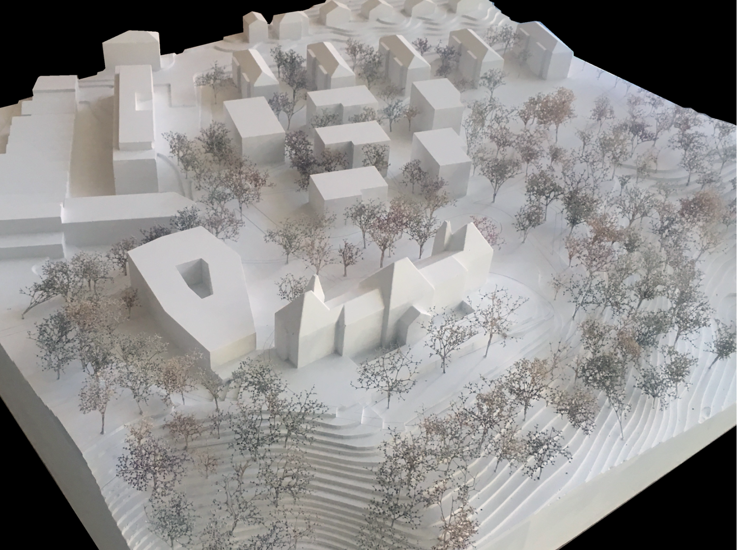 Instandsetzung und Erweiterung Villa Beausite in Fribourg, Wettbewerb 2019